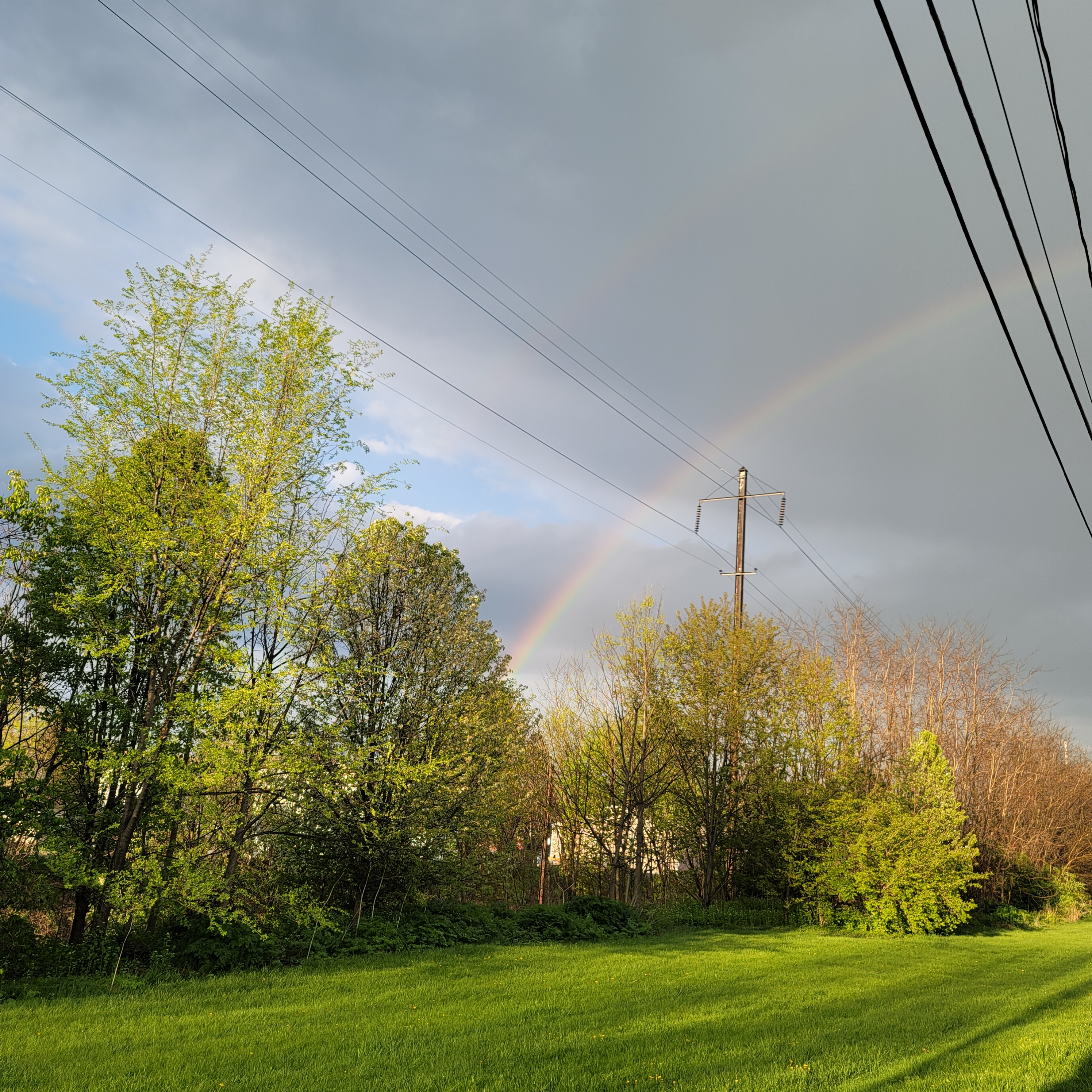 Here is a photo of part of the first rainbow of 2021 here in Mount Joy and it was a double rainbow.