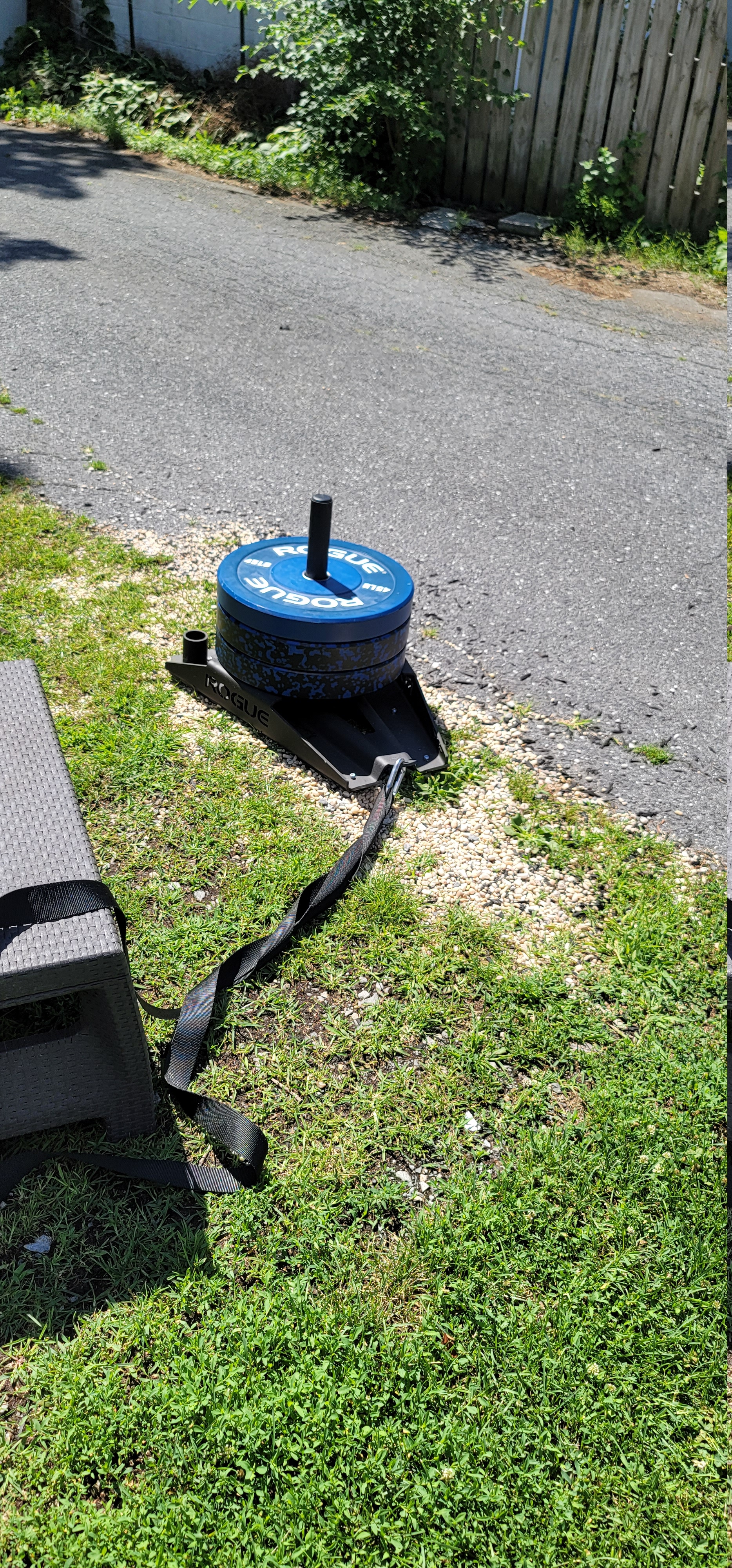 This is a picture of our black Rogue Slice Sled in the grass at the edge of a road. It has three blue 45 pound bumper plates on it.