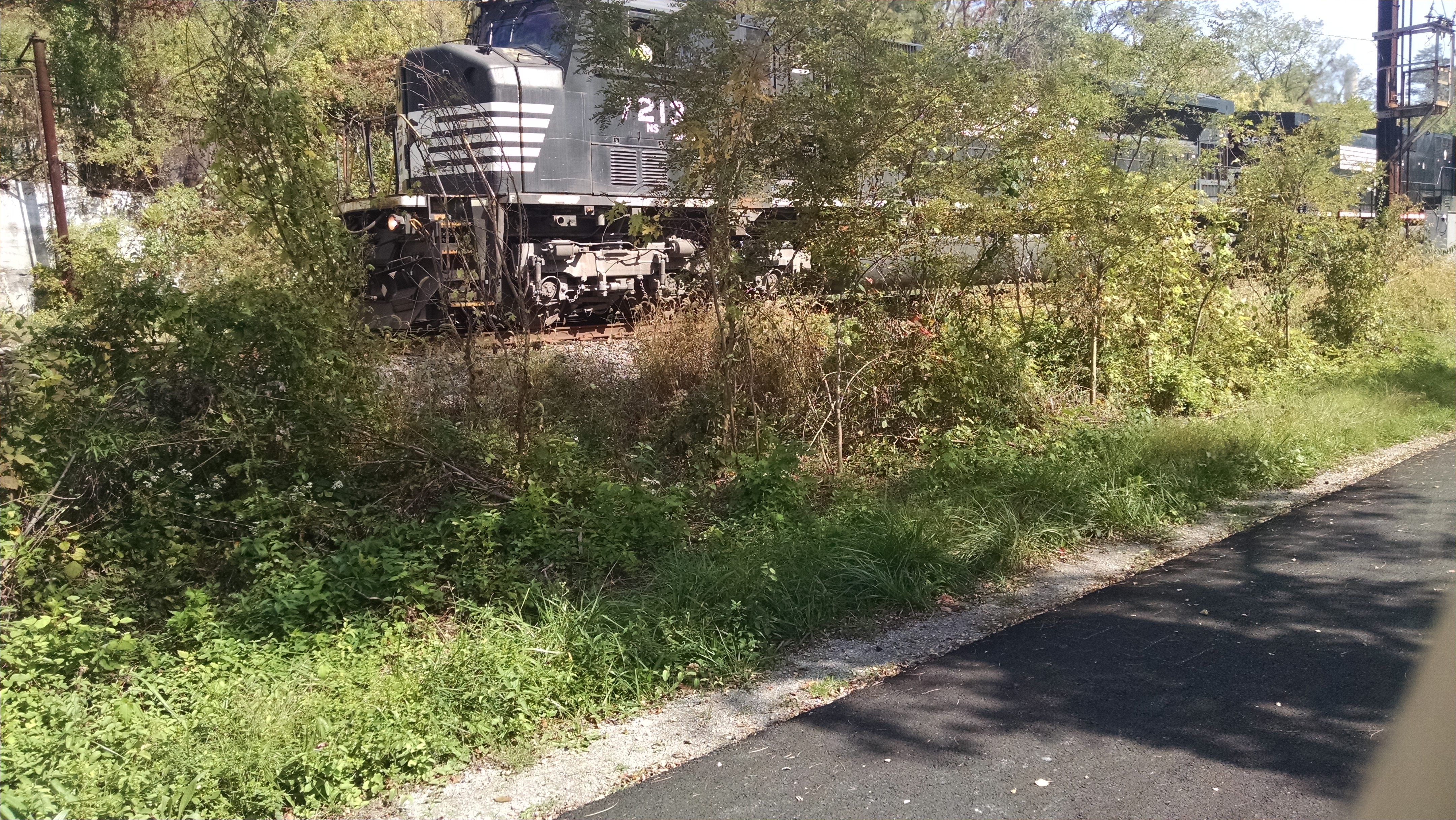 This picture shows an engine of a freight train as it's passing by on the tracks just off a biking/hiking trail.